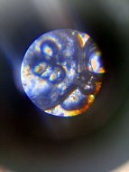 Школьники из Красавки эксперимент с ДНК банана