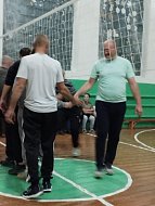 Встреча по волейболу в честь Дня отца