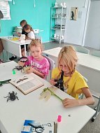 Летом юные энтомологи знакомятся с видами насекомых