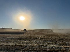 Хлеборобы превзошли прошлогодний показатель по валовому сбору зерна