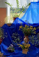 «Родного края разноцветье»: в Садовом прошла выставка цветов
