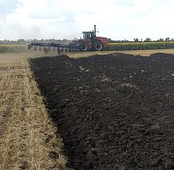 Уборке подсолнечника и кукурузы помешали дожди