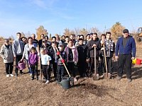 В Хрущевке прошла акция «Посади дерево»