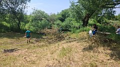 В Красавке на берегу Елани прошел субботник