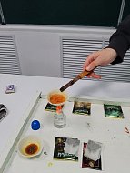 Есть ли кофеин в чае? Об этом узнали школьники на занятии «Занимательная химия»