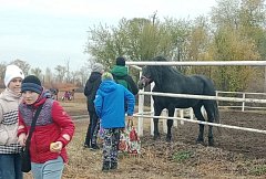 Самойловские школьники побывали на Еланском конном заводе