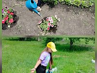 Не только отдыхают, но и помогают