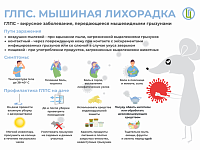О профилактике геморрагической лихорадки с почечным синдромом