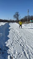 Семейный лыжный забег был посвящен Дню Защитника Отечества и Году семьи 