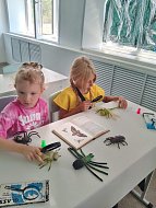 Летом юные энтомологи знакомятся с видами насекомых