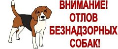 ВНИМАНИЮ ВЛАДЕЛЬЦЕВ СОБАК!