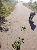 Сельчане навели порядок на улице Черемушки