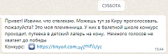 Мошенники придумали новый способ взлома популярных мессенджеров