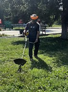 Чтобы поселок стал чище