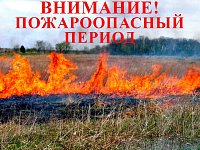 О соблюдении требований пожарной безопасности при выжигании сухой травянистой растительности
