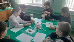 Школьники из Благовещенки готовятся к посадочному сезону