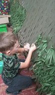 Четырехлетний волонтер из Песчанского МО плетет сети для бойцов
