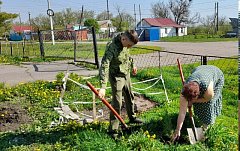 В Полтавке проводят работы по озеленению