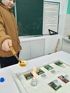 Есть ли кофеин в чае? Об этом узнали школьники на занятии «Занимательная химия»