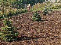В с. Красавке ведутся работы по благоустройству парка