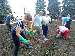 В Самойловке высадили цветы
