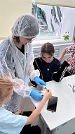 «Солнышко» учится спасать: урок первой помощи в летнем лагере!