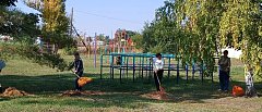 Субботник в Полоцкой школе прошёл дружно