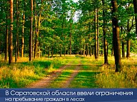 В Саратовской области ввели ограничения на пребывание граждан в лесах