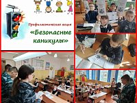 Святославские волонтеры присоединились к региональному профилактическому мероприятию «Внимание, летние каникулы!»