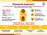 5 вопросов о клещевом боррелиозе