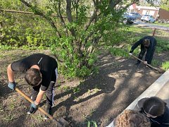 В Красавке школьники провели акцию по озеленению