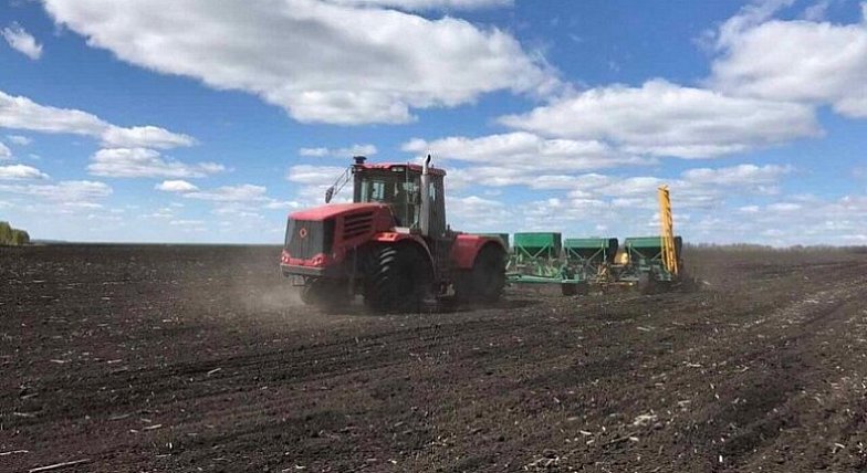 На полях района продолжаются посевные работы