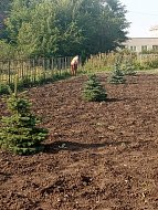 В с. Красавке ведутся работы по благоустройству парка