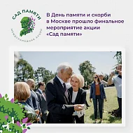 Посадить 33 млн деревьев от Калининграда до Чукотки за три месяца? Это возможно!