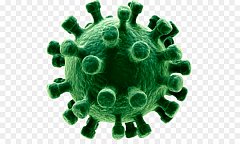 Профилактика  коронавирусной  инфекции