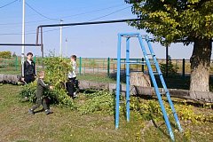 Субботник в Полоцкой школе прошёл дружно