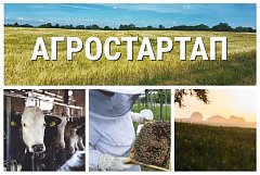 От полутора до семи миллионов рублей могут получить жители Саратовской области на стартапы в агробизнесе