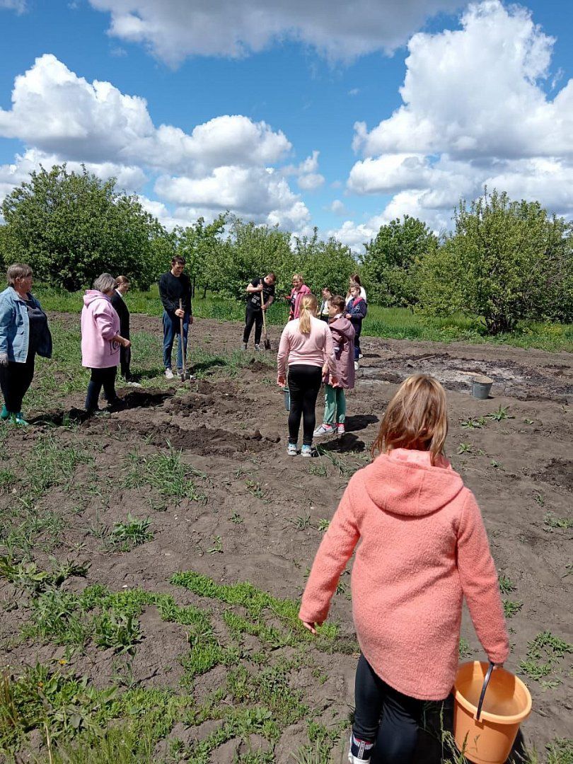 Краснознаменск пицца краснознаменная 17а