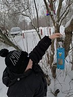 В Красавке первоклассники развесили кормушки для птиц