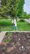 В Краснознаменском разбиты клумбы Победы