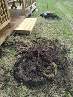 В Низовке продолжают благоустраивать территорию вблизи сельского кладбища